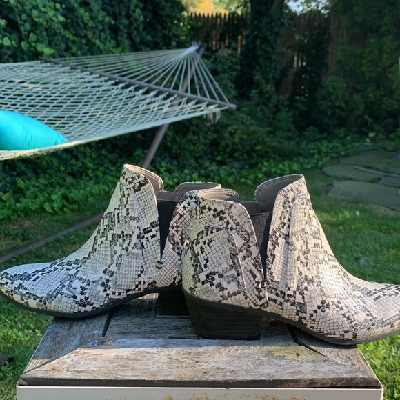 Circus Sam Edelman booties black & white zebra print 1 3/4 “ heel. Worn once - Picture 4 of 8